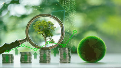 The Economics of Climate Change: Costs and Opportunities