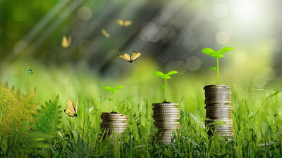 The Rise of Green Economics: Sustainable Growth Explained