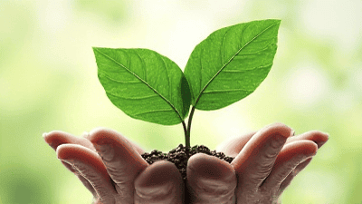 The Rise of Sustainable Business: How to Go Green and Profitable