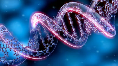 Unraveling DNA: How Genetics Shapes Who We Are